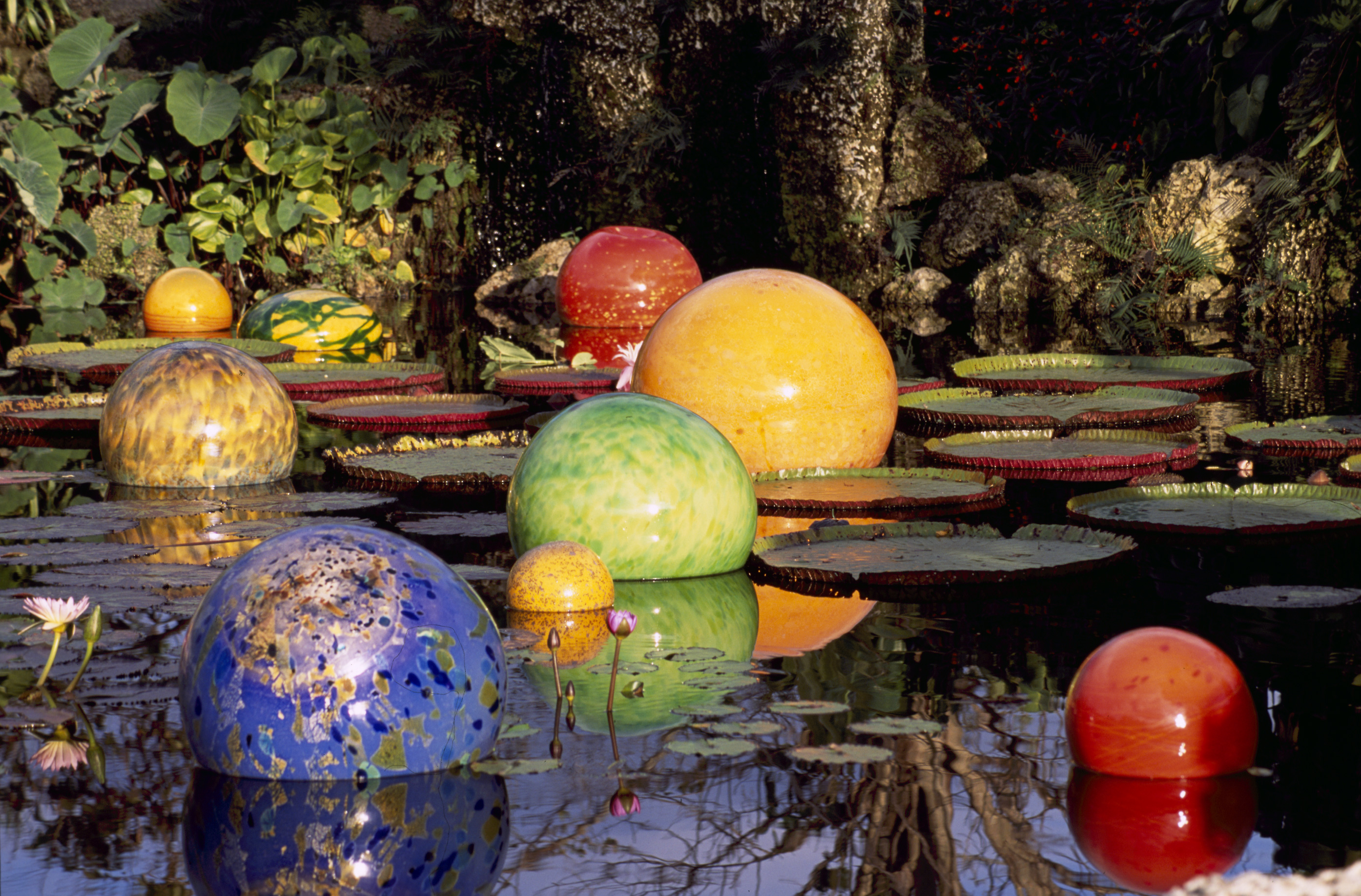 http://www.virtualherbarium.org/Chihuly/images/LARGE/Niijima-Floats,-1992-1997.jpg