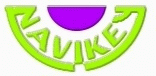 NaviKey Logo