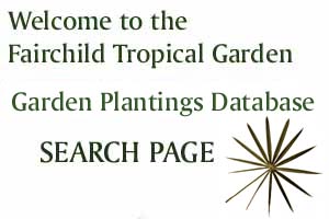 Fairchild Tropical Botanic Garden