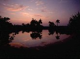 The palms and tropical flowering trees of the lowlands are silhouetted against the pastels of evening.