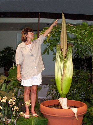 A. titanum and Ann Schmidt, 9-2-99