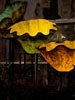 Macchia Forest, 1992-2000, Dale Chihuly