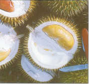 durian kuning