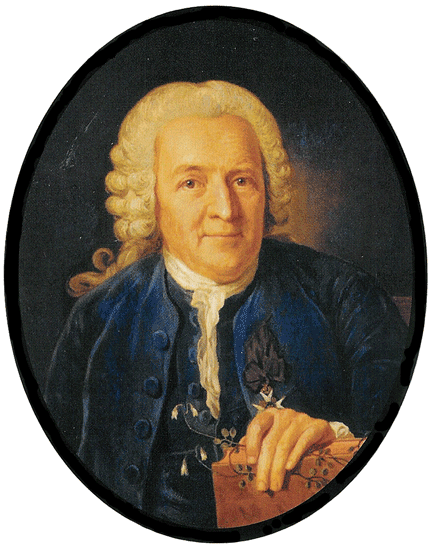 Carolus Linnaeus