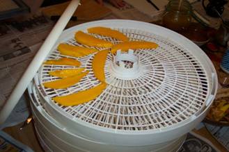 Drying mango slices