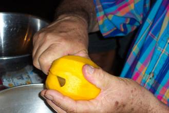 Slicing a Mango