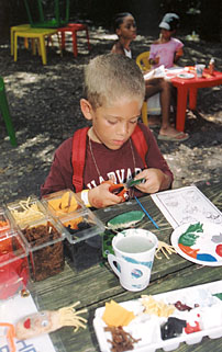 Decorate a Mango Seed