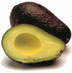 Avocado