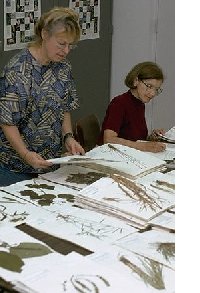 Herbarium