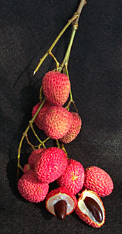 Lychee