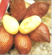 salak