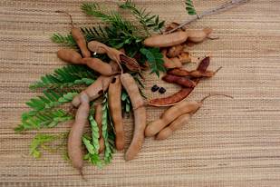 tamarind