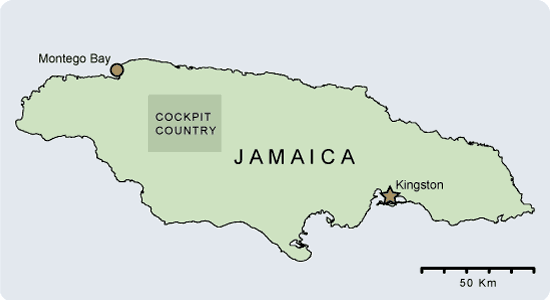 Shape Of Jamaica